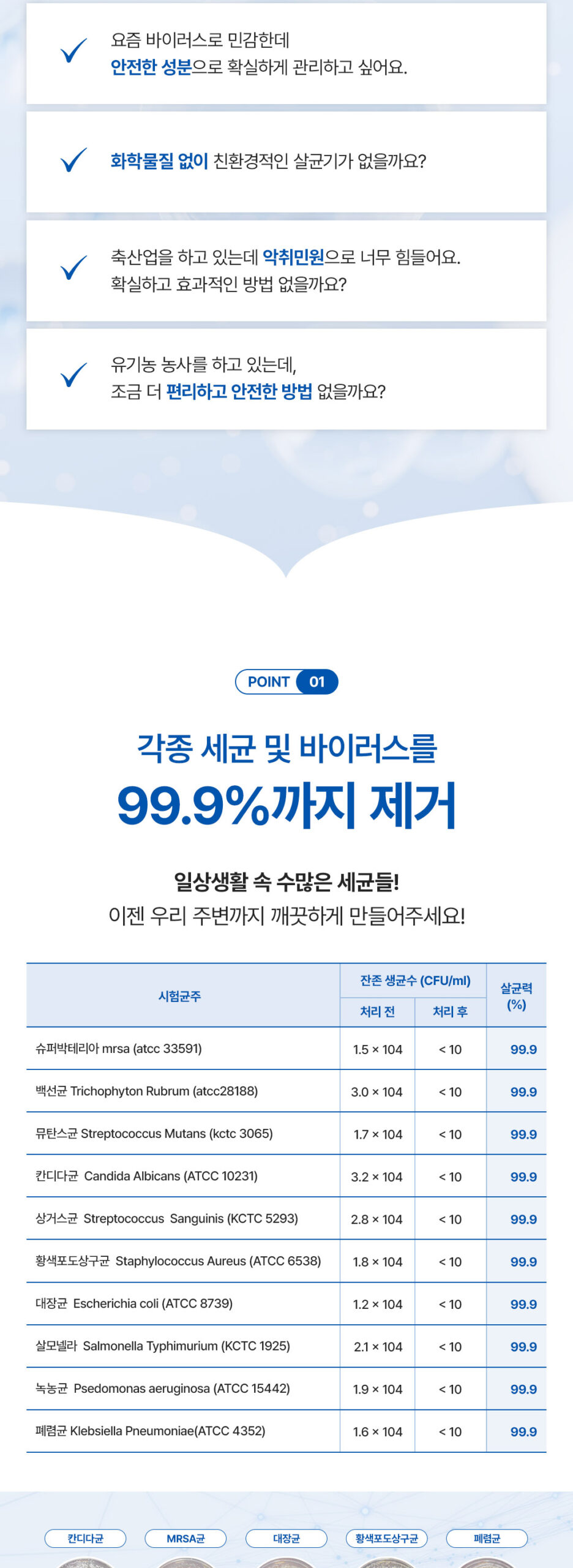 피온 (2)